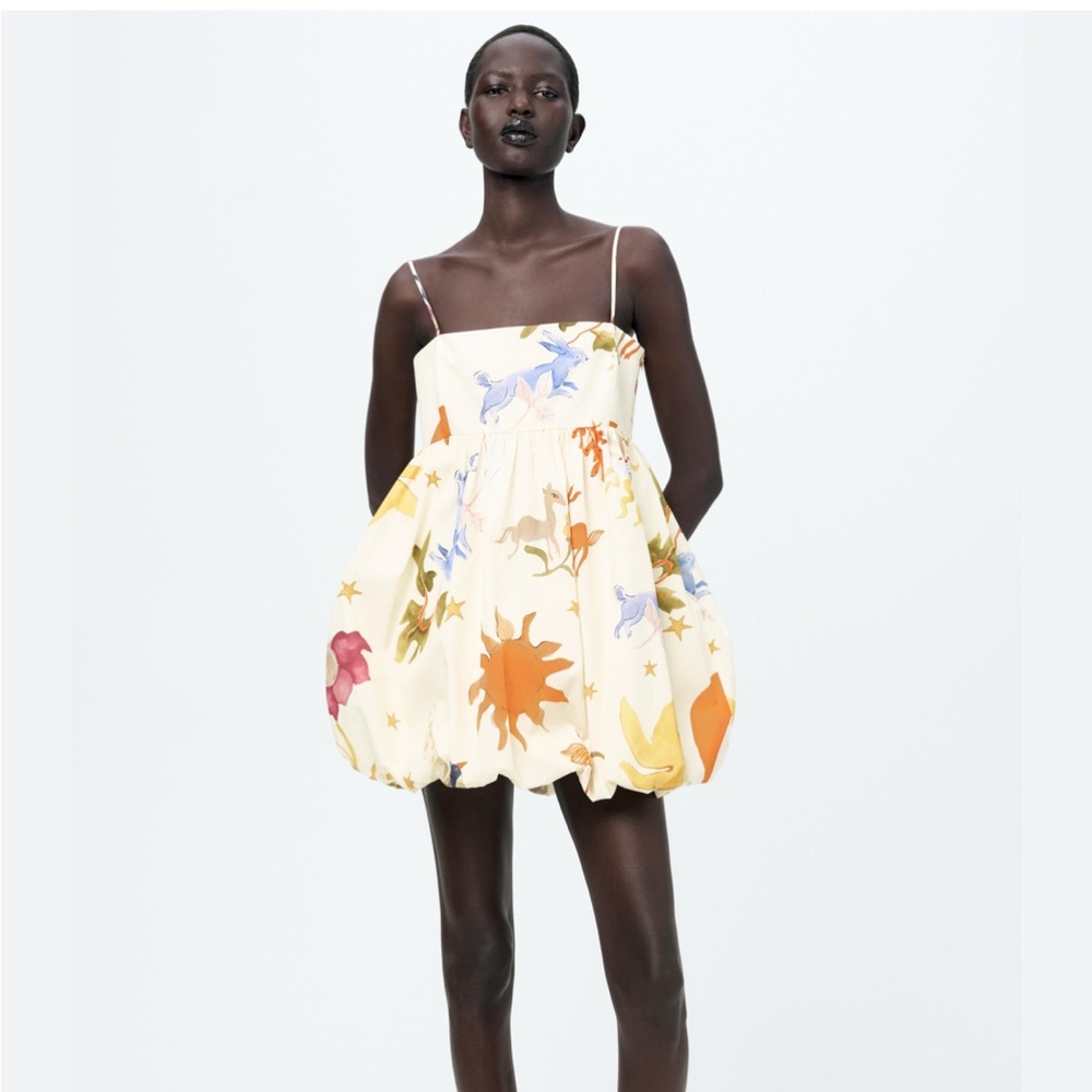 Zara dress